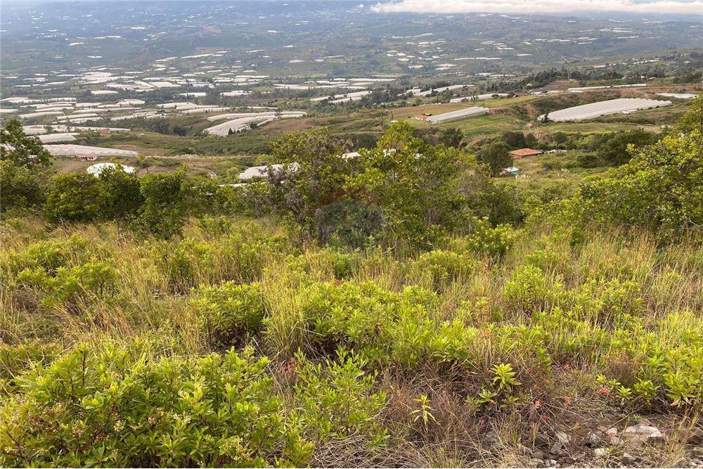 Lot for Sale - Villa de Leyva, Boyacá